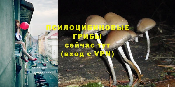 дмт Беломорск
