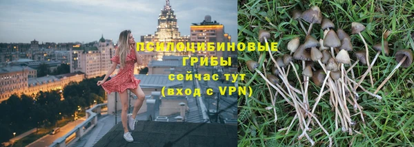 ГАЛЛЮЦИНОГЕННЫЕ ГРИБЫ Богородицк