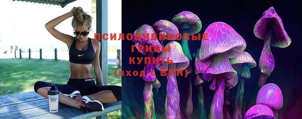ГАЛЛЮЦИНОГЕННЫЕ ГРИБЫ Богородицк