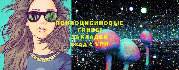 ГАЛЛЮЦИНОГЕННЫЕ ГРИБЫ Богородицк