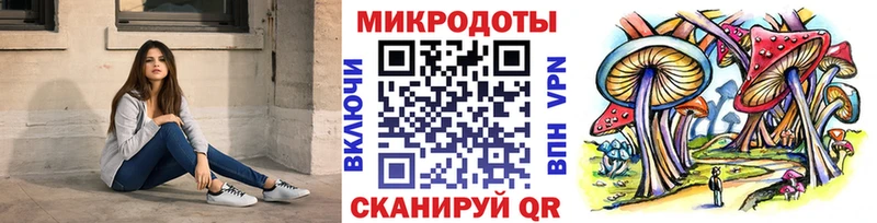 мега ссылки закладки Зея Галлюциногенные грибы Psilocybine cubensis